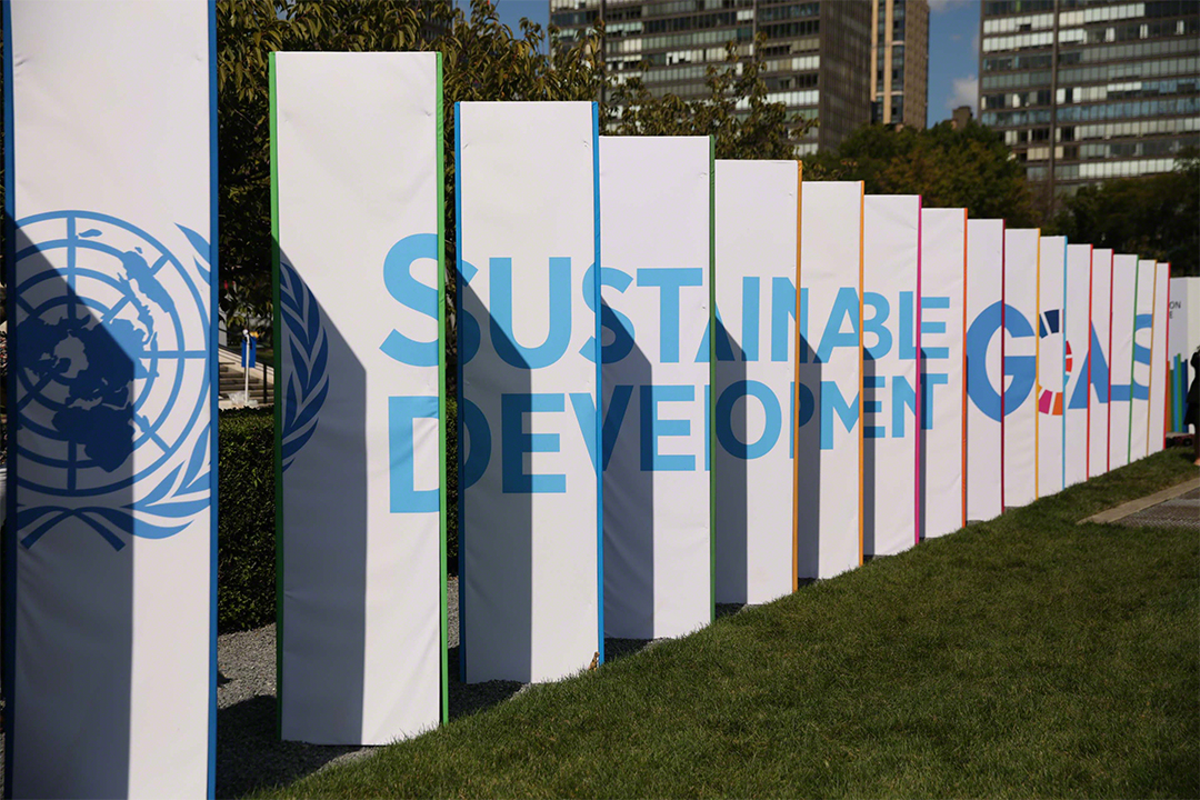 IISD | January 28, 2026