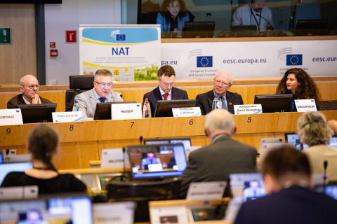 European Economic and Social Committee | February 26, 2026